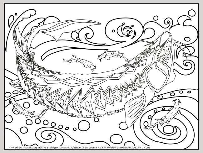 name coloring page image