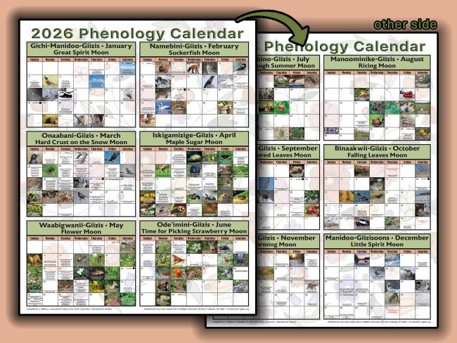 2026 Phenology Calendar store image