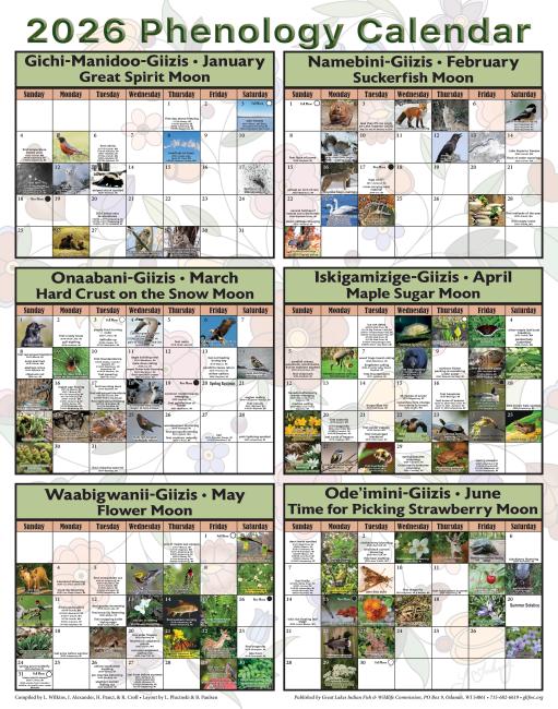 image of page 1 from 2026 phenology calendar