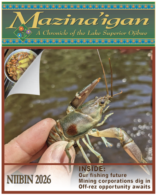 Niibin 2026 thumbnail image