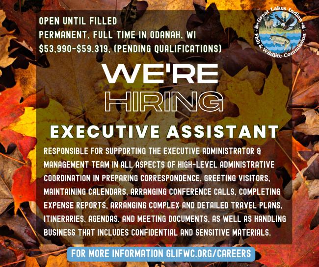 executive assistant position
